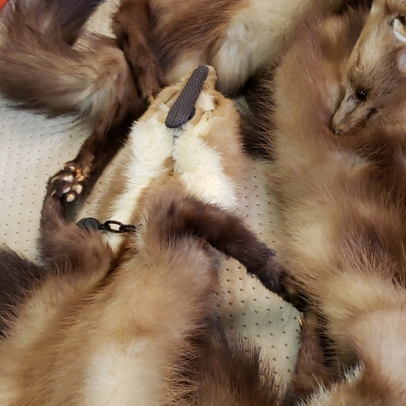 Mink stole - Picture 2 of 3